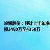 鸿博股份：预计上半年净利润亏损3480万至4350万