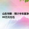 山东华鹏：预计半年度净亏损6600万元左右