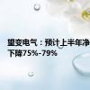 望变电气：预计上半年净利同比下降75%-79%