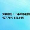 龙泉股份：上半年净利同比预增427.78%-653.98%