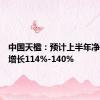 中国天楹：预计上半年净利同比增长114%-140%