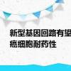 新型基因回路有望改变癌细胞耐药性