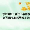 东方盛虹：预计上半年净利润同比下降90.38%至93.59%