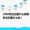 1982年出生是什么命男（1982年出生是什么命）