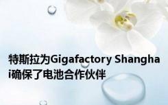 特斯拉为Gigafactory Shanghai确保了电池合作伙伴