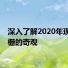 深入了解2020年现代木栅的奇观