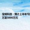 宝明科技：预计上半年亏损4000万至5000万元