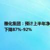 雅化集团：预计上半年净利同比下降87%-92%