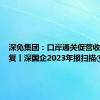 深免集团：口岸通关促营收稳健恢复丨深国企2023年报扫描⑤