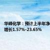 华峰化学：预计上半年净利同比增长1.57%-23.65%