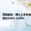 常铝股份：预计上半年净利同比增长936%-1246%