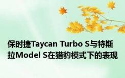 保时捷Taycan Turbo S与特斯拉Model S在猎豹模式下的表现