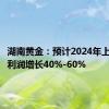 湖南黄金：预计2024年上半年净利润增长40%-60%