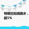 特斯拉短线跳水，现跌超5%