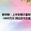 新华联：上半年预计盈利3900万-5800万元 同比扭亏为盈