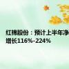 红棉股份：预计上半年净利同比增长116%-224%