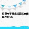 消费电子概念股震荡走低 水晶光电跌超5%