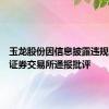 玉龙股份因信息披露违规被上海证券交易所通报批评