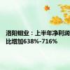 洛阳钼业：上半年净利润预增同比增加638%-716%