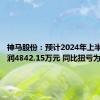 神马股份：预计2024年上半年净利润4842.15万元 同比扭亏为盈