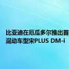 比亚迪在厄瓜多尔推出首款插电混动车型宋PLUS DM-i