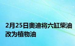 2月25日奥迪将六缸柴油改为植物油