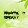 网络水军的“水”，到底有多深？