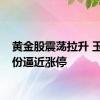 黄金股震荡拉升 玉龙股份逼近涨停