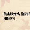 黄金股走高 洛阳钼业等涨超5%