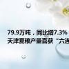 79.9万吨，同比增7.3%！今年天津夏粮产量喜获“六连丰”