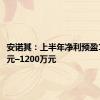 安诺其：上半年净利预盈1000万元–1200万元