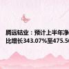 腾远钴业：预计上半年净利润同比增长343.07%至475.50%