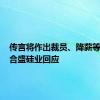 传言将作出裁员、降薪等调整？合盛硅业回应