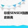 印度SENSEX指数创历史新高