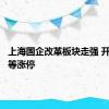 上海国企改革板块走强 开开实业等涨停