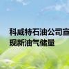 科威特石油公司宣布发现新油气储量