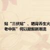 贴“三伏贴”、晒背养生火了，“老中医”何以掀起新潮流