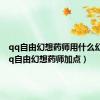 qq自由幻想药师用什么幻神（qq自由幻想药师加点）