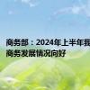 商务部：2024年上半年我国电子商务发展情况向好