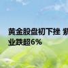 黄金股盘初下挫 紫金矿业跌超6%