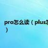 pro怎么读（plus怎么读）