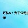 万科A：为子公司提供担保