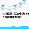 林洋能源：联合中标6.66亿元海外智能电能表项目