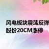 风电板块震荡反弹 海锅股份20CM涨停