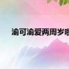 渝可渝爱两周岁啦