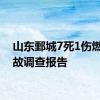 山东鄄城7死1伤燃爆事故调查报告