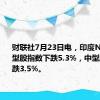 财联社7月23日电，印度NIFTY小型股指数下跌5.3%，中型股指数下跌3.5%。