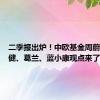 二季报出炉！中欧基金周蔚文、王健、葛兰、蓝小康观点来了