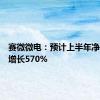 赛微微电：预计上半年净利同比增长570%