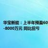 华宝新能：上半年预盈6000万元-8000万元 同比扭亏